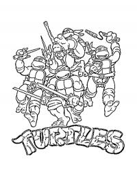 Tartarugas