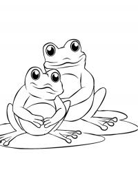 Dois sapos