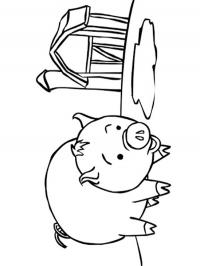 Porco na fazenda