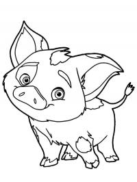 Porco Pua