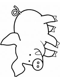 Porco