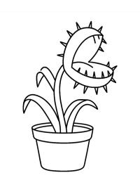 Dioneia (planta carnívora)