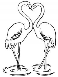 Flamingos apaixonados