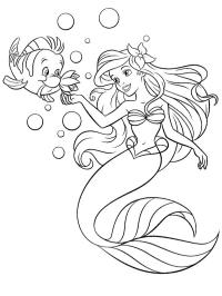 Peixe Linguado e Ariel