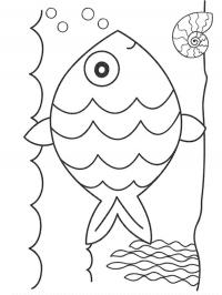 Peixe na água