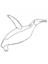 Pinguim voador