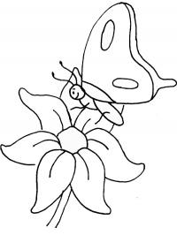 Borboleta na flor
