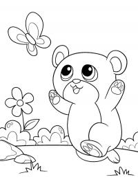 Borboleta sendo perseguida por urso