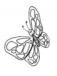 Borboleta