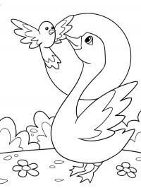 Pássaro e cisne