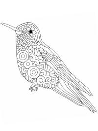 Mandala de pássaro