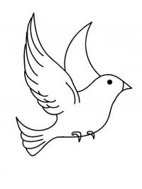 Ave
