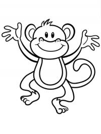 Macaquinho feliz