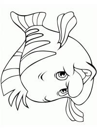 Peixe feliz