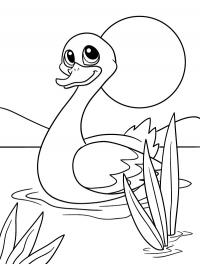 Cisne feliz