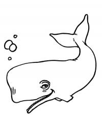 Baleia