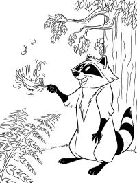 Guaxinim Meeko e o beija-flor Flit