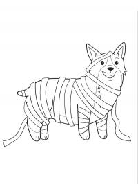 Cachorro corgi fantasiado de múmia