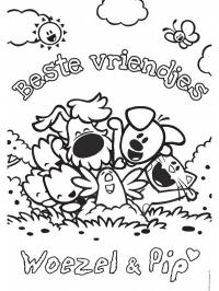 Woezel e Pip melhores amigos