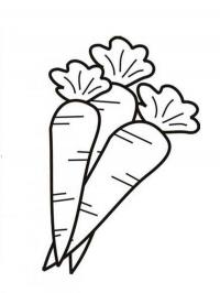Cenouras
