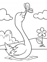 Ganso beijando beija-flor