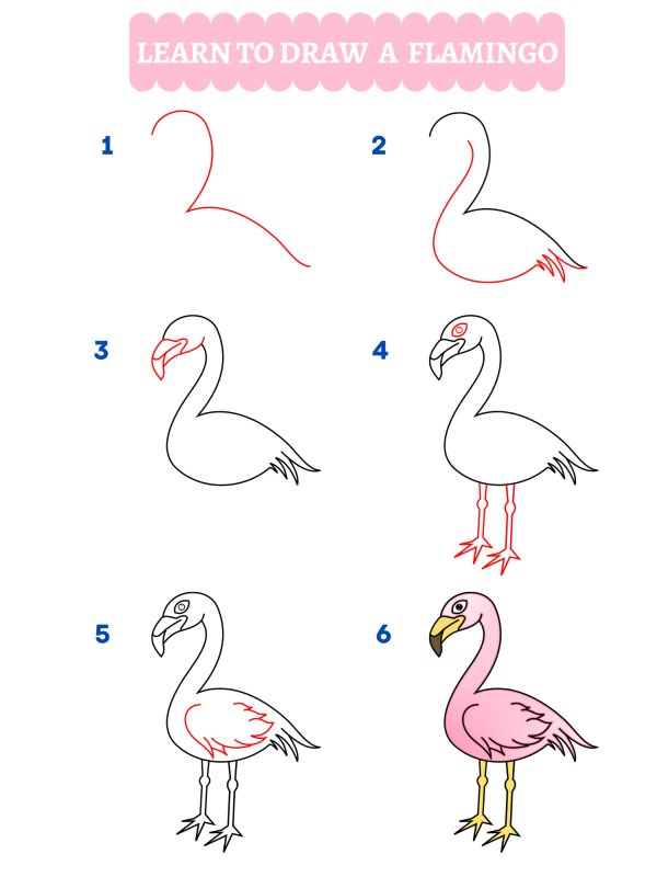 Como desenhar um flamingo
