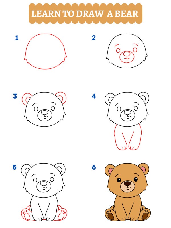 Como desenhar um urso