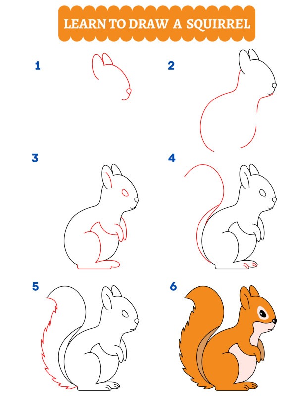 Como desenhar um esquilo