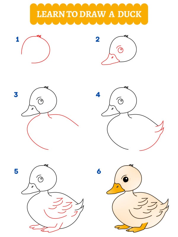 Como desenhar um pato