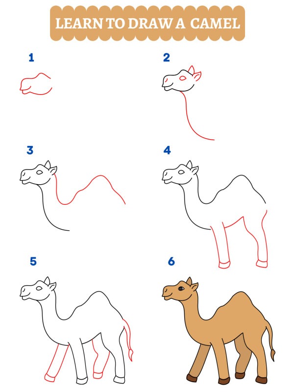 Como desenhar um camelo