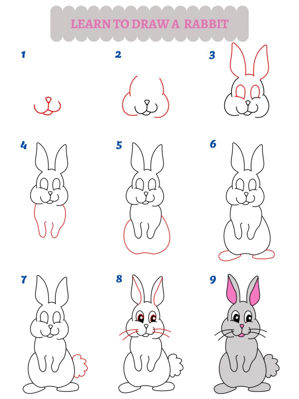 Como desenhar um coelho