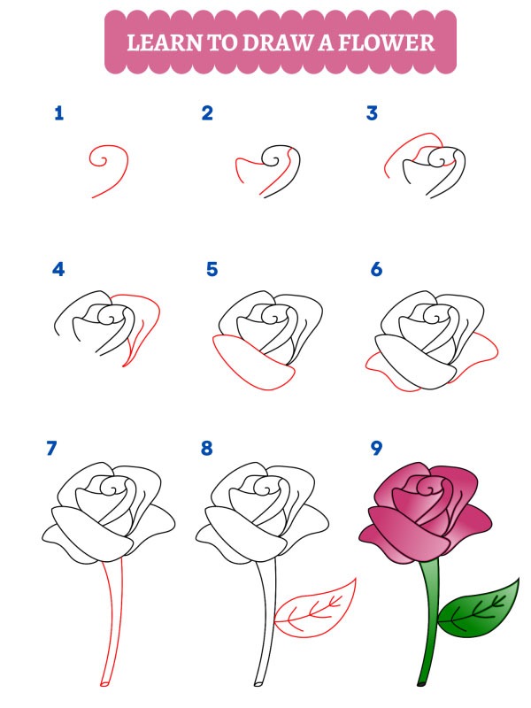 Como desenhar uma rosa