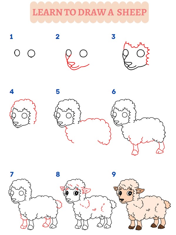 Como desenhar uma ovelha