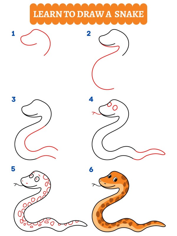 Como desenhar uma cobra