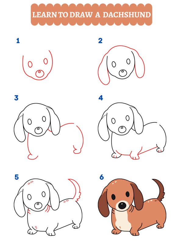 Como desenhar um dachshund