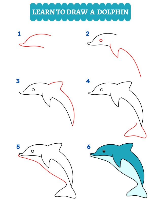 Como desenhar um golfinho