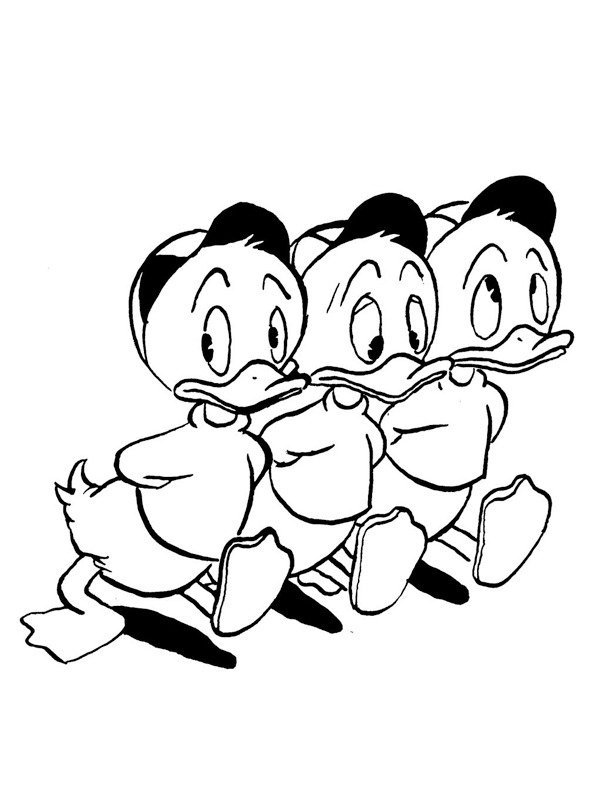 Huguinho, Zezinho e Luisinho Desenho para Colorir Huguinho, Zezinho e Luisinho Desenho para Colorir