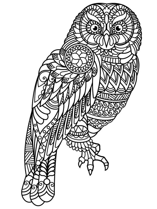 Coruja para adultos Desenho para Colorir Coruja para adultos Desenho para Colorir