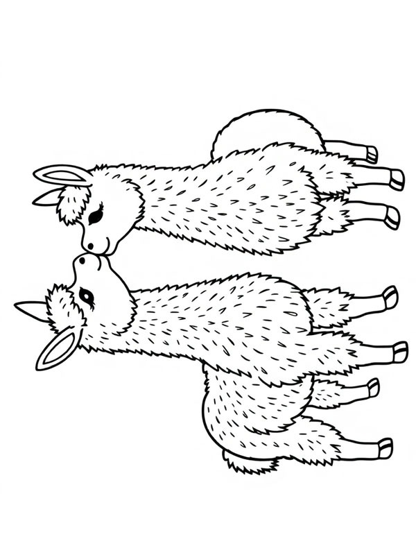2 alpacas se beijando Desenho para Colorir 2 alpacas se beijando Desenho para Colorir