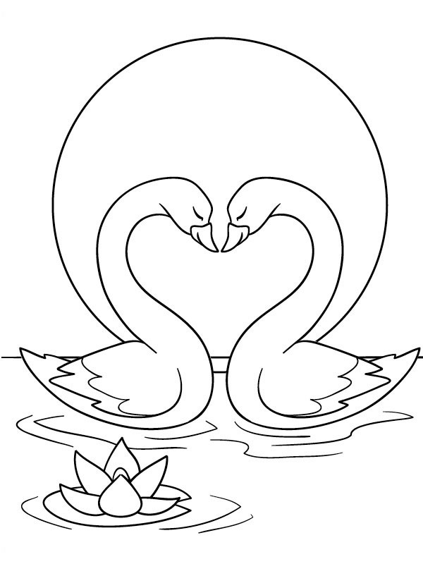Dois cisnes apaixonados Desenho para Colorir Dois cisnes apaixonados Desenho para Colorir