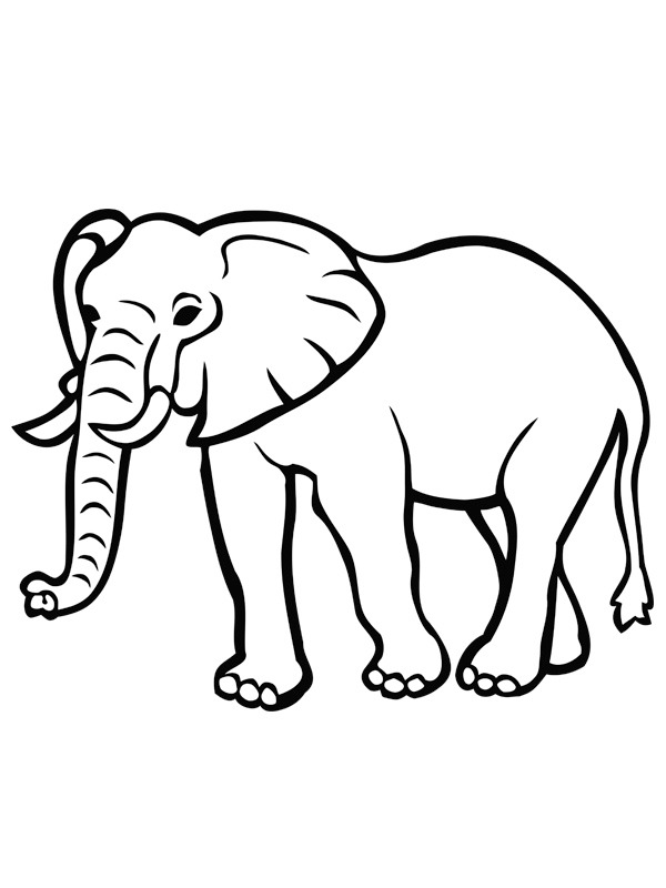 Elefante Desenho para Colorir Elefante Desenho para Colorir
