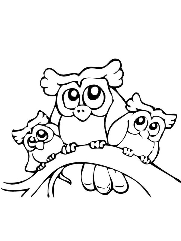 3 Corujas Desenho para Colorir 3 Corujas Desenho para Colorir
