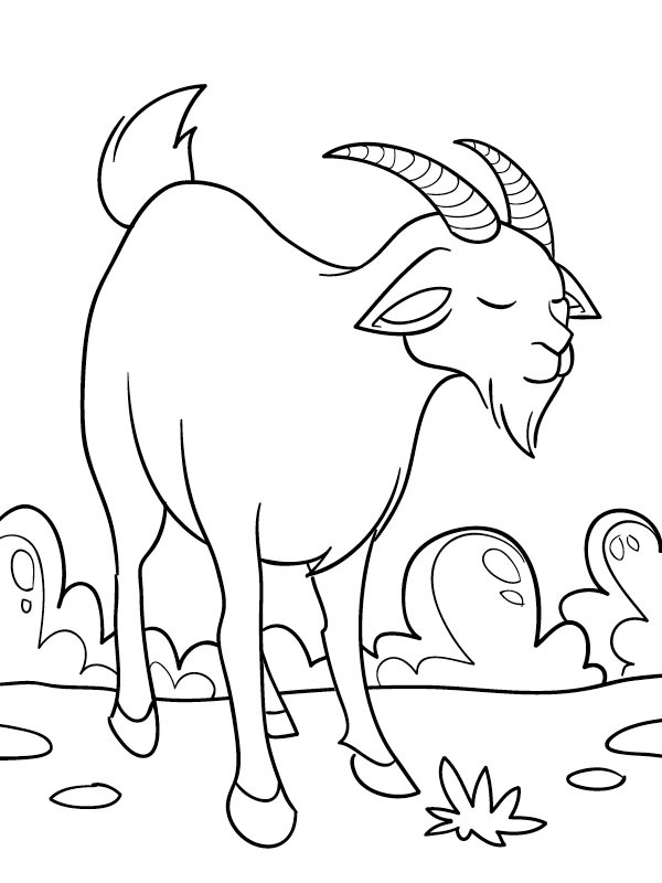 Cabra Desenho para Colorir Cabra Desenho para Colorir