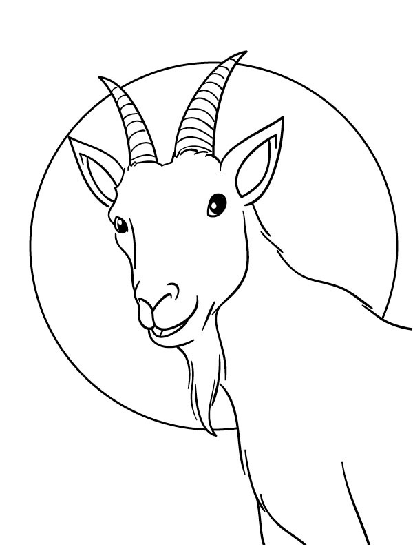 Cabra Desenho para Colorir Cabra Desenho para Colorir