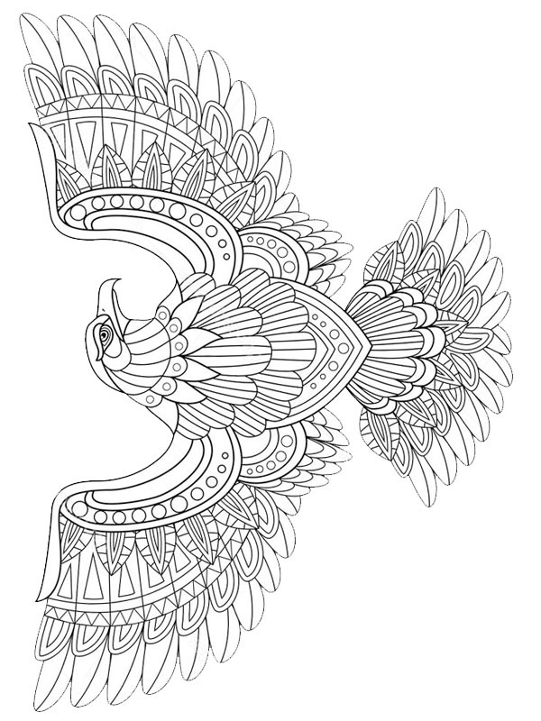 Águia para adultos Desenho para Colorir Águia para adultos Desenho para Colorir