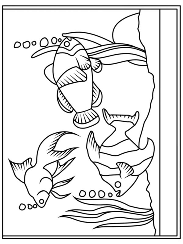 Aquário Desenho para Colorir Aquário Desenho para Colorir