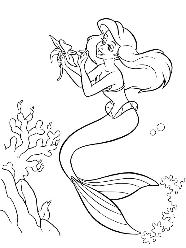 Ariel com uma flor Desenho para Colorir Ariel com uma flor Desenho para Colorir