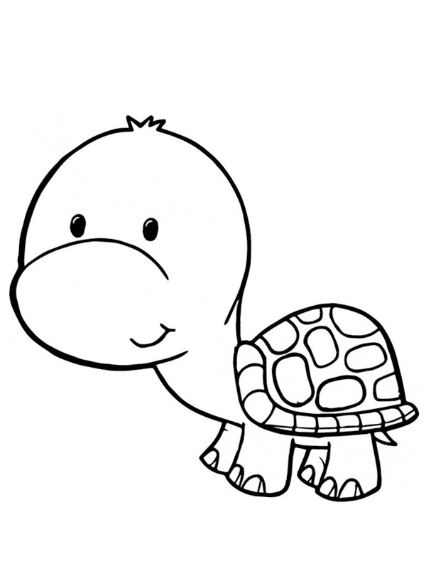 Bebê tartaruga Desenho para Colorir Bebê tartaruga Desenho para Colorir