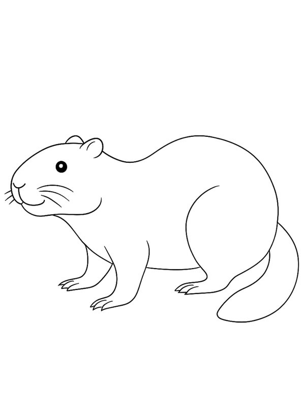 Castor Desenho para Colorir Castor Desenho para Colorir