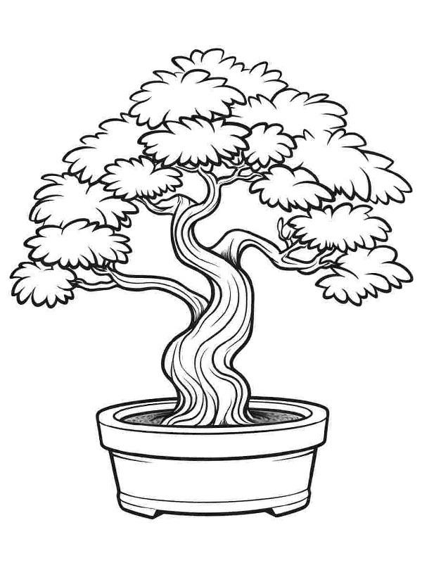 Árvore bonsai Desenho para Colorir Árvore bonsai Desenho para Colorir